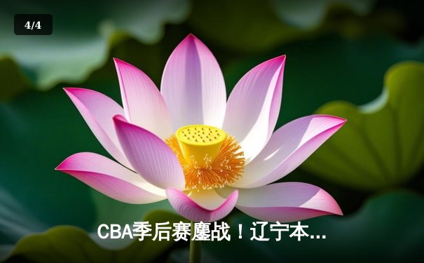 CBA季后赛鏖战！辽宁本钢加时险胜广东宏远，赵继伟砍35分创生涯新高 - 4