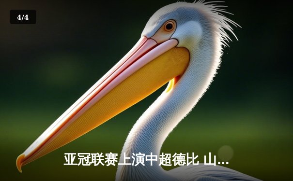 亚冠联赛上演中超德比 山东泰山加时赛3-2险胜广州FC晋级四强 - 4